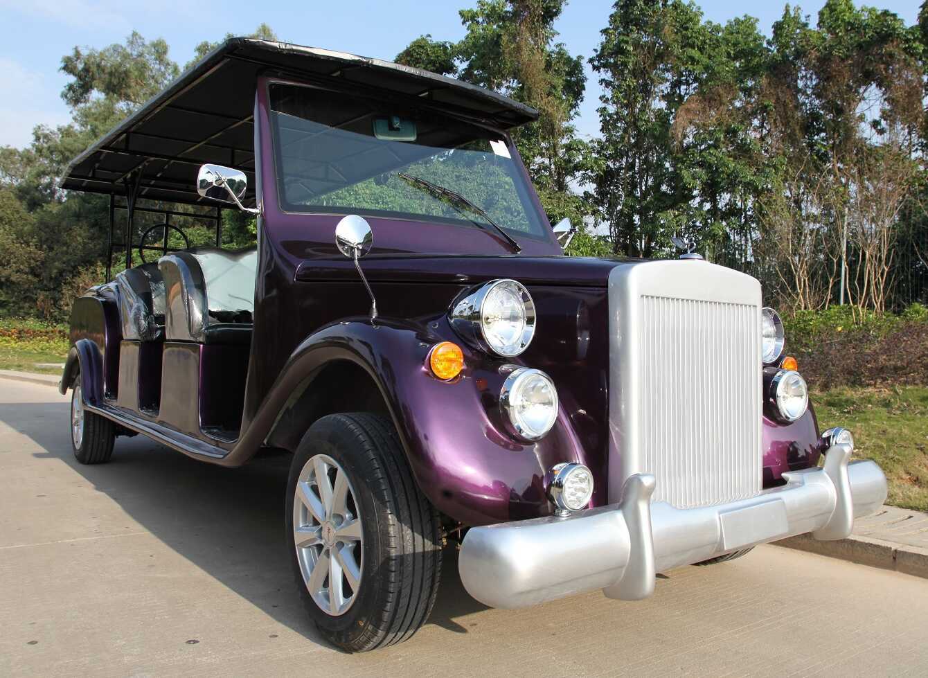 看房老爺燃油車12座葡萄紫